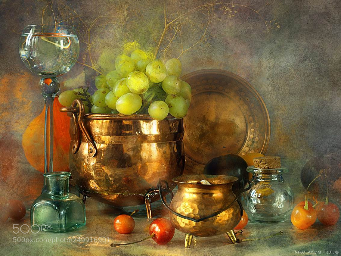 Olympus E-3 sample photo. Grapes photography