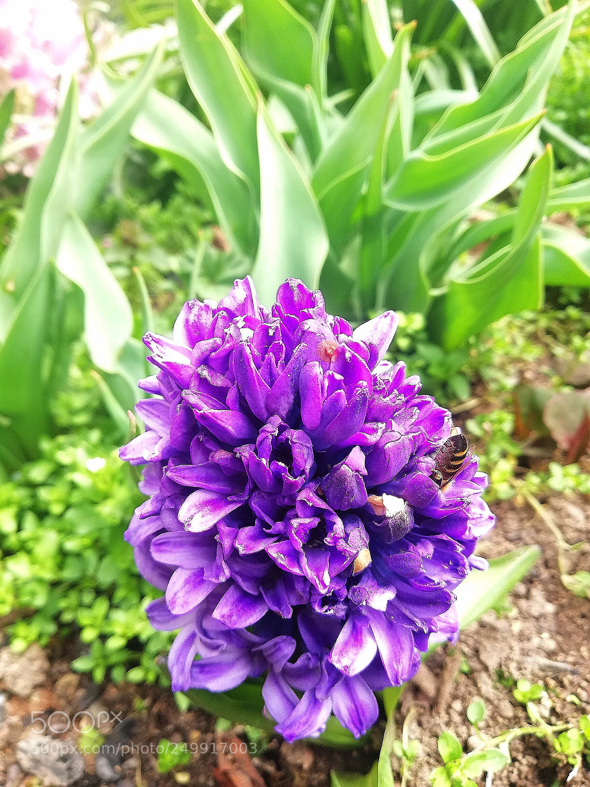 HUAWEI Mate 10 Lite sample photo. Untitled photography