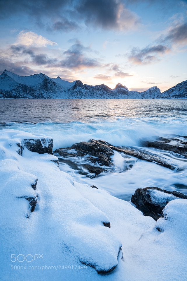 Sony a7R III sample photo. Coldstart photography