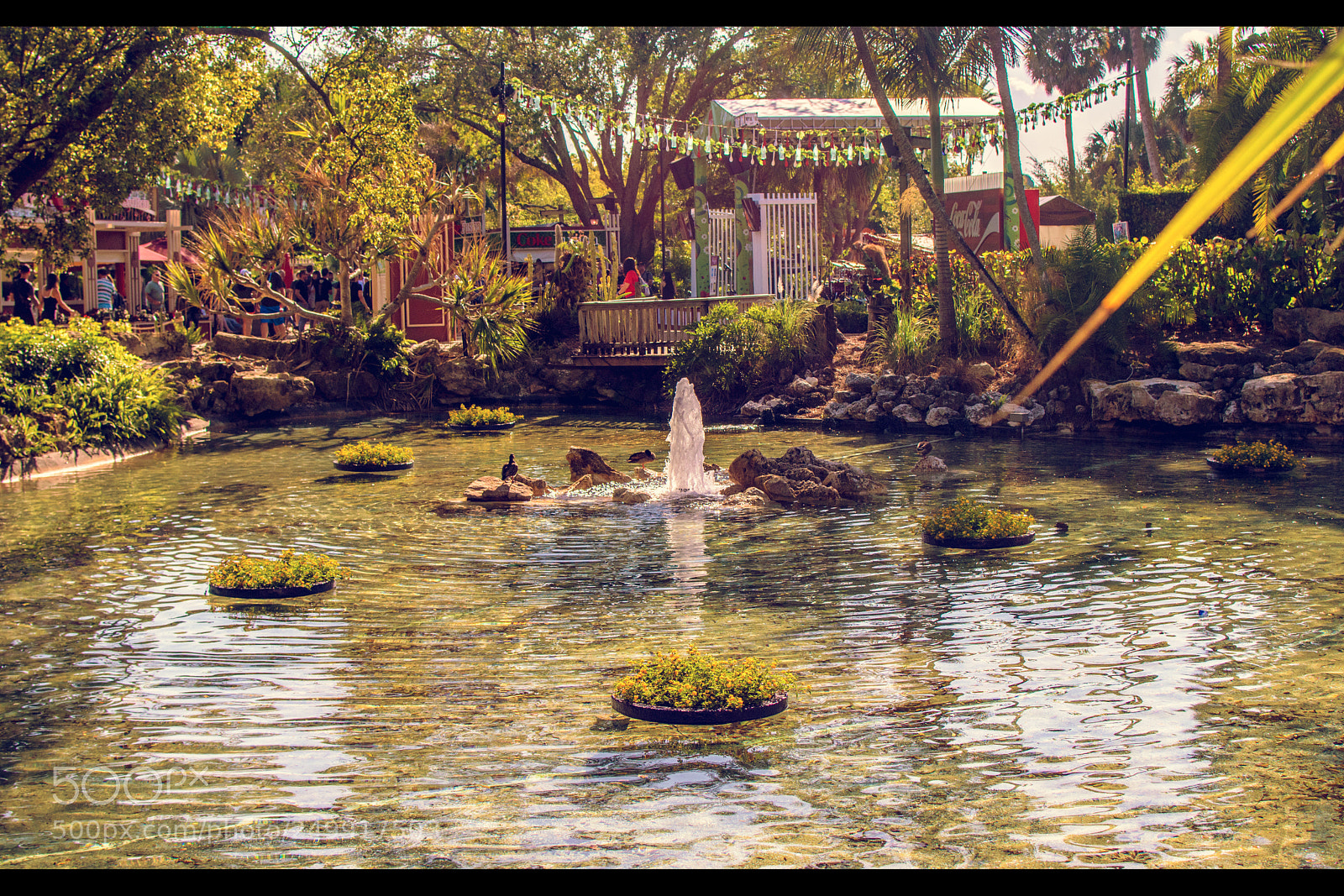 Nikon D3300 sample photo. Fountain at busch gardens photography