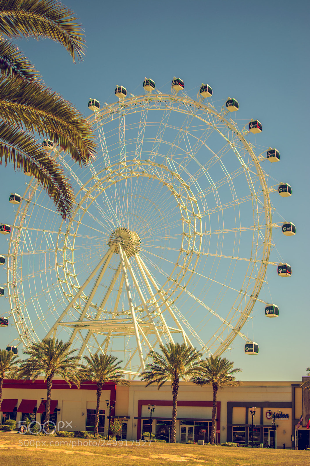 Nikon D3300 sample photo. Orlando eye photography
