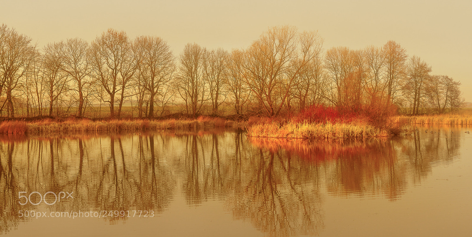 Sony a6000 sample photo. Morgenstimmung photography