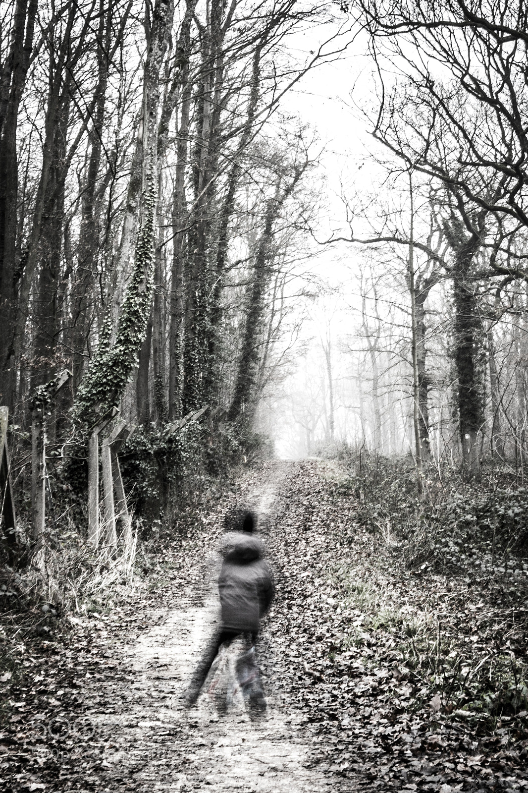 Nikon D7100 sample photo. Spectre photography