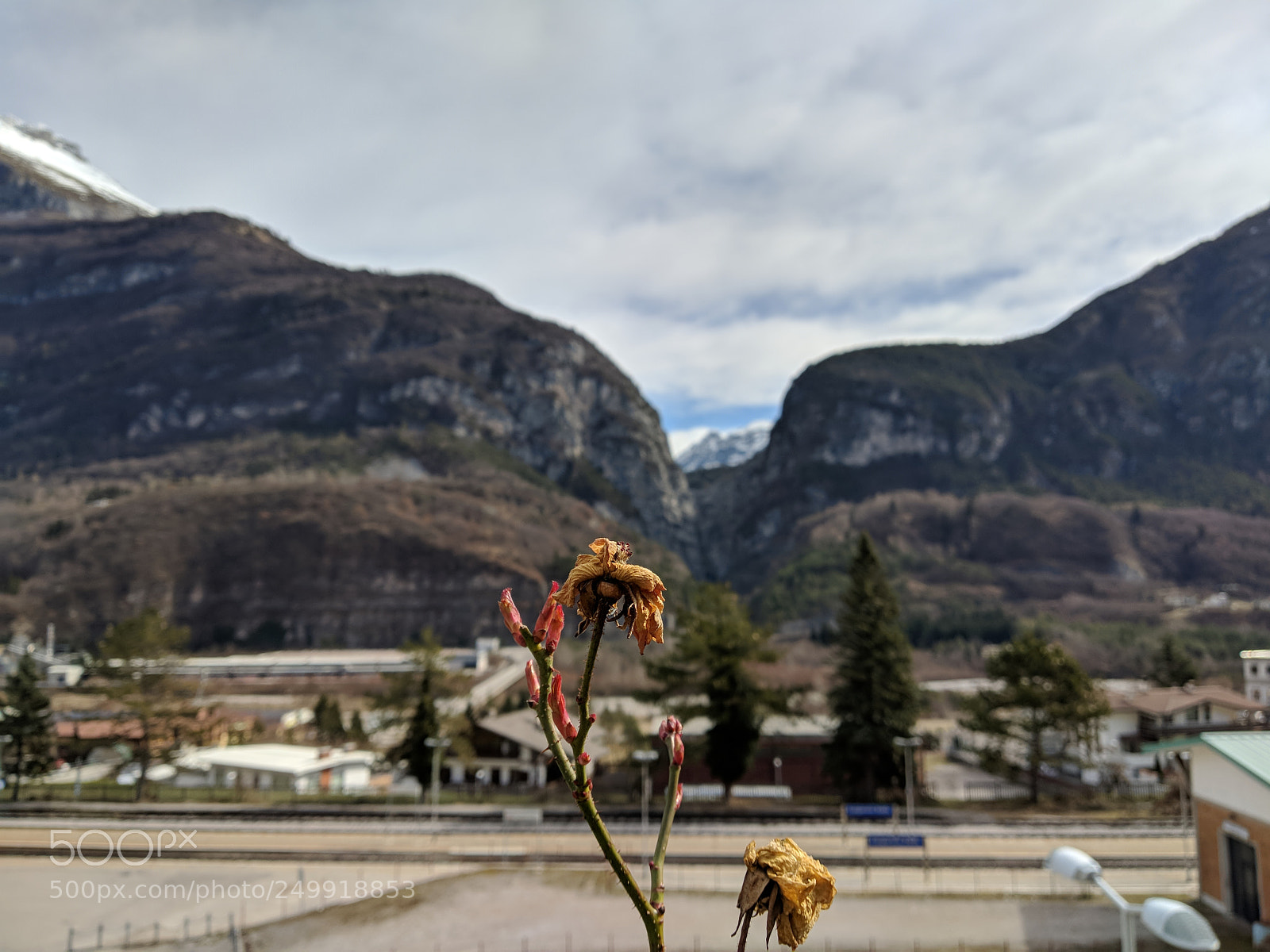 Xiaomi Mi A1 sample photo. Vajont photography