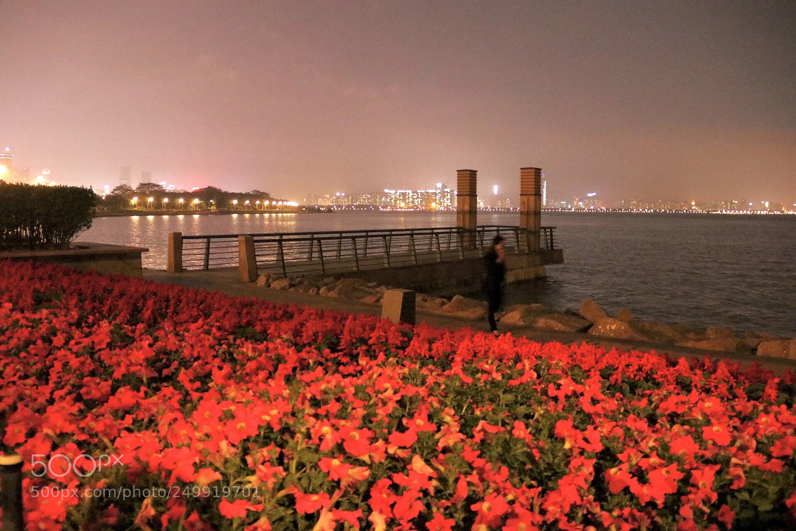 Canon EOS 80D sample photo. Opposite side of hong-kong photography