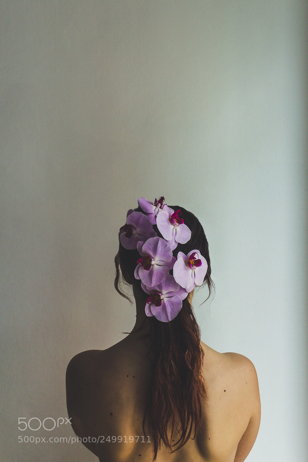 Canon EOS 700D (EOS Rebel T5i / EOS Kiss X7i) sample photo. Purple orchidea photography