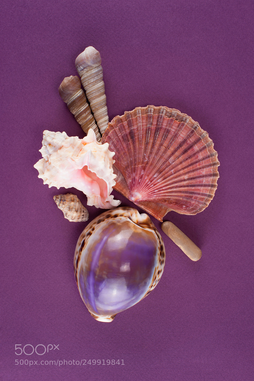 Nikon D700 sample photo. Abstract composition of various photography