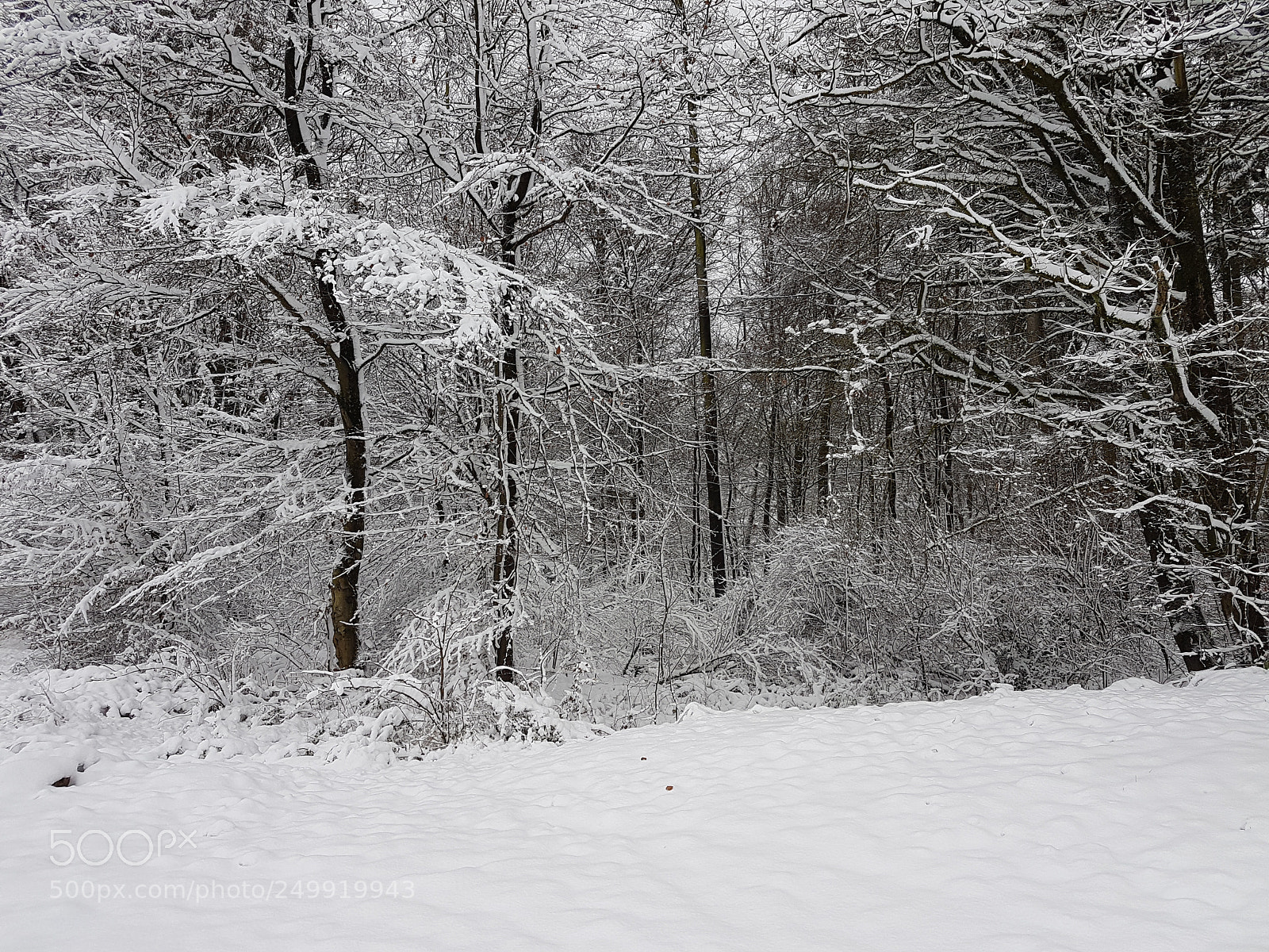Samsung Galaxy S7 sample photo. Wipperf rth wald schnee photography