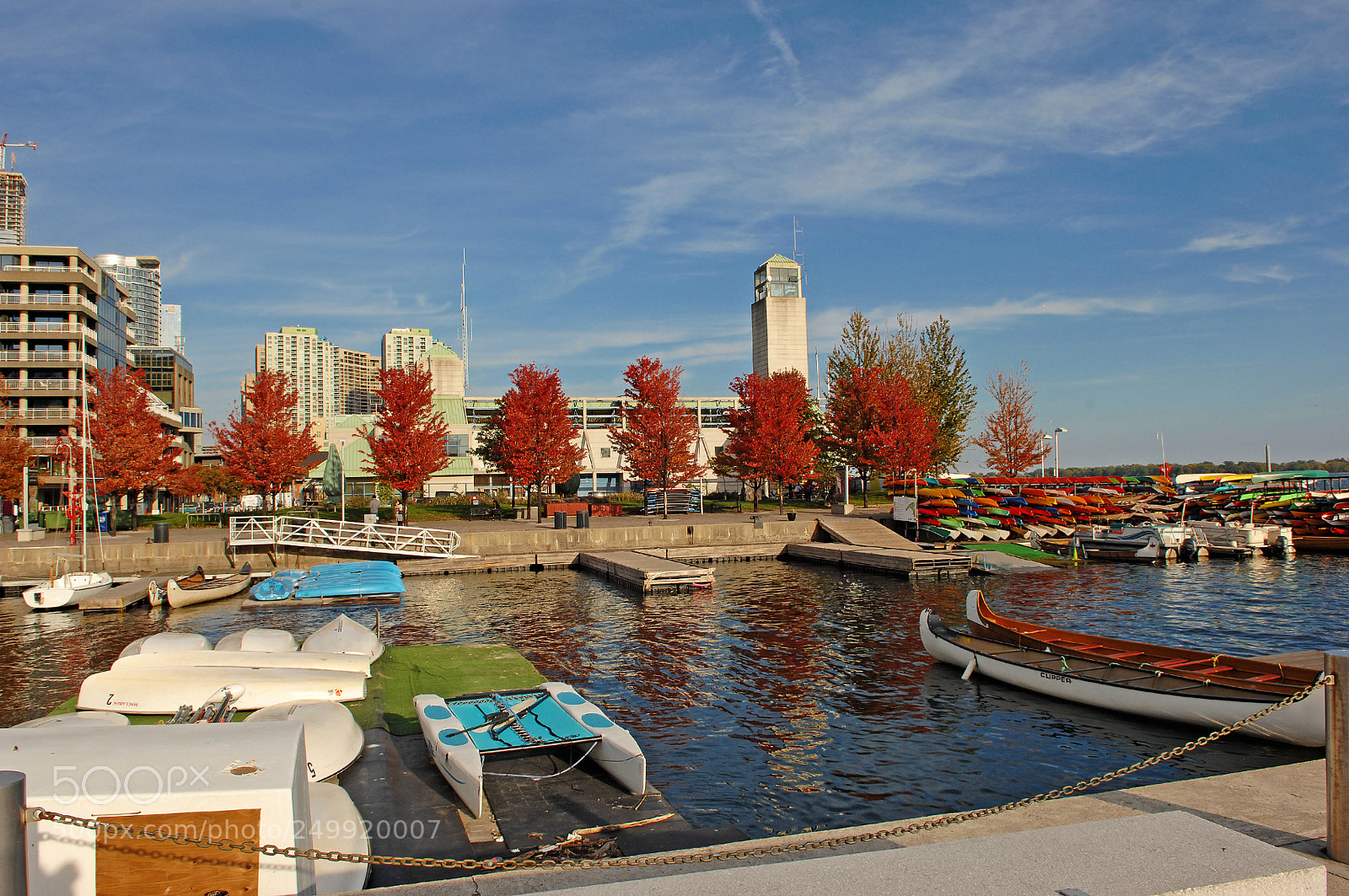 Nikon D2X sample photo. Red autumn trees on photography