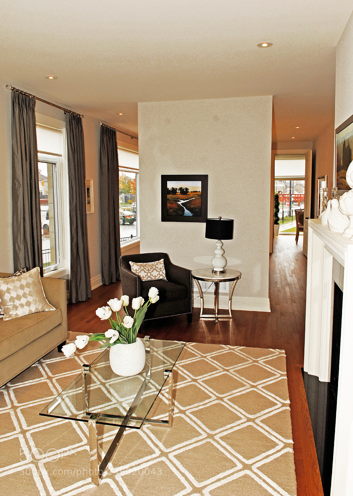 Nikon D2X sample photo. Beautiful living room in photography