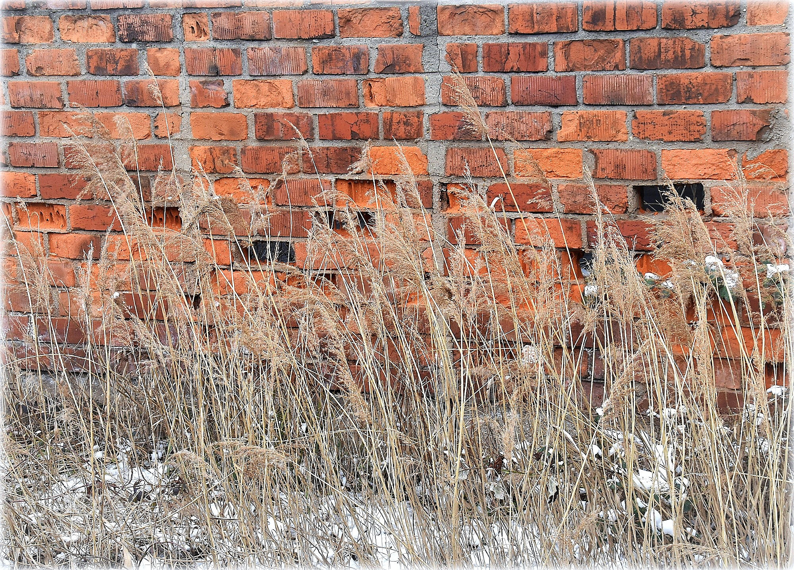 Nikon D810 sample photo. "diffrent order" photography