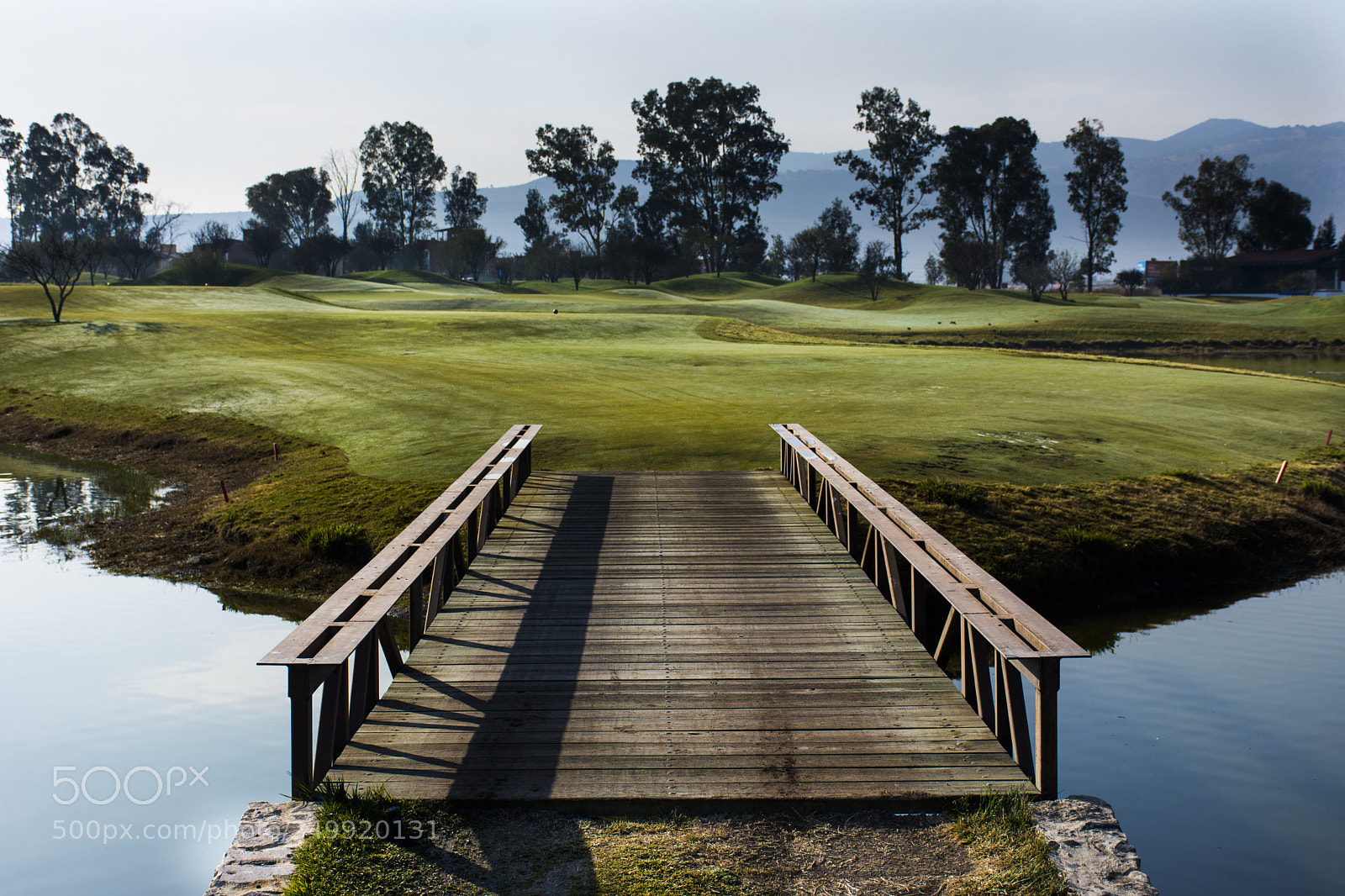 Nikon D7100 sample photo. Bridge in the golf photography