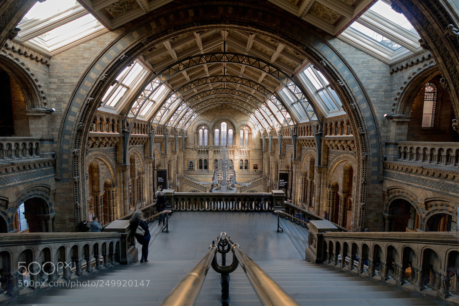 Canon EOS 70D sample photo. London, natural history museum photography