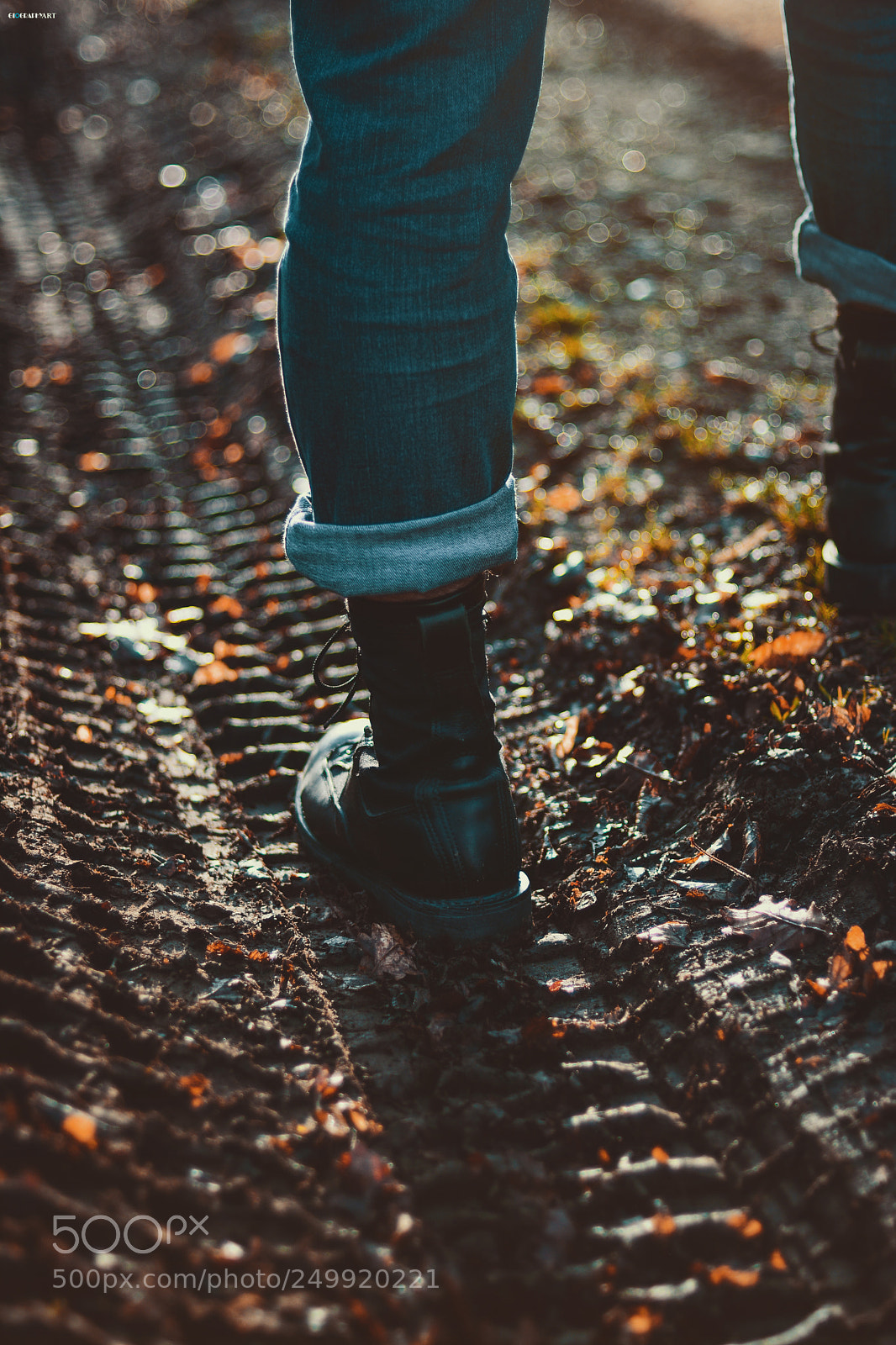 Nikon D7100 sample photo. Untitled photography