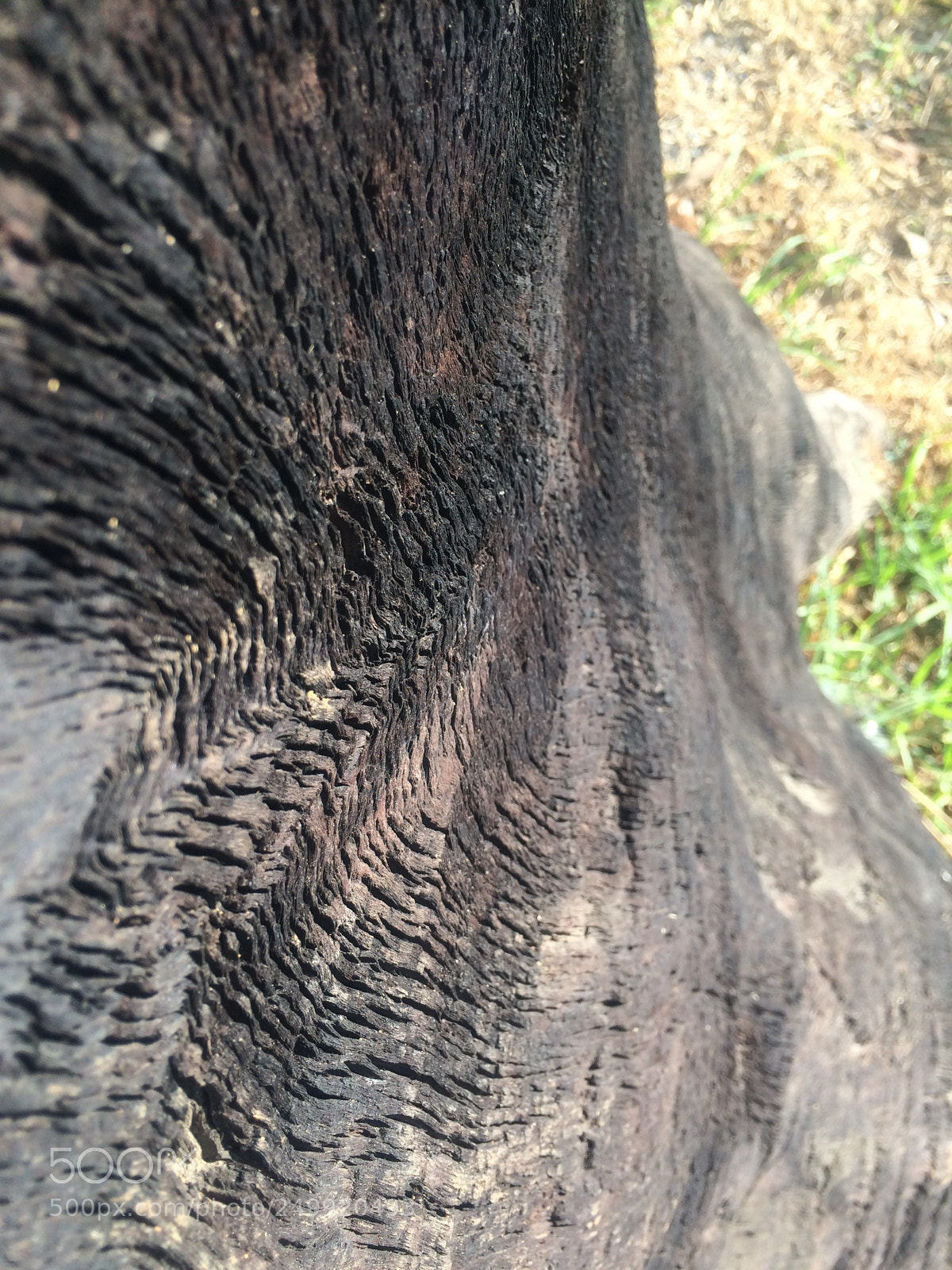 Apple iPhone 5s sample photo. Untitled photography