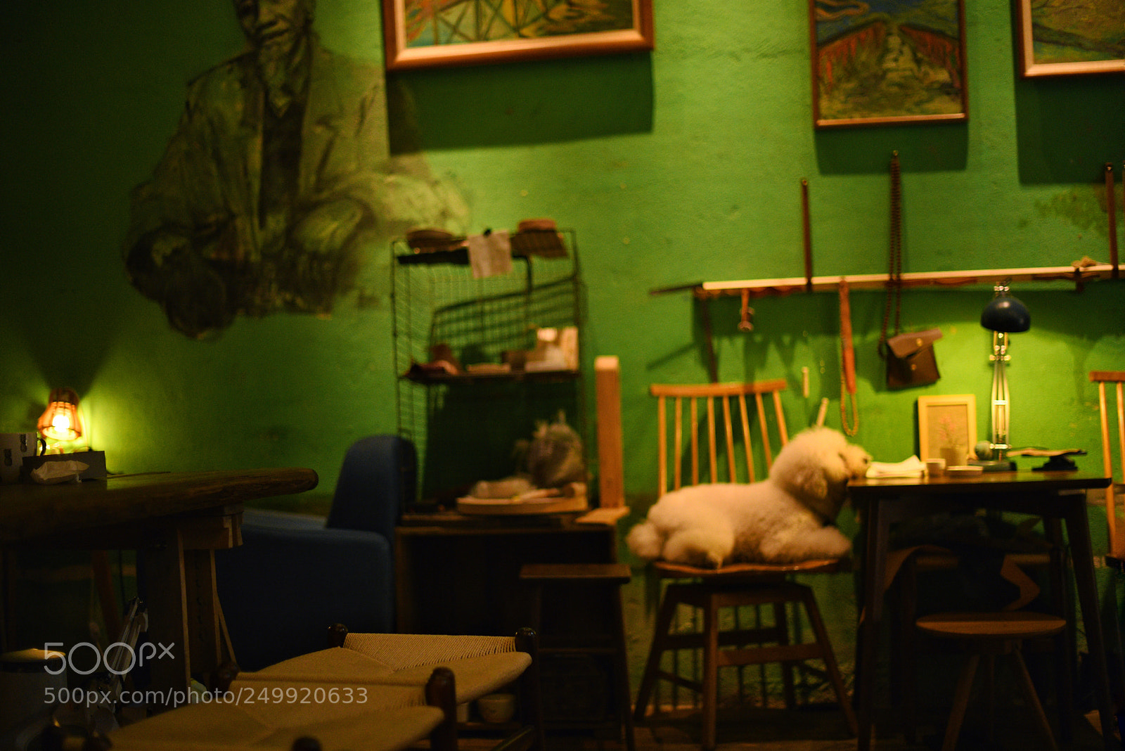 Nikon D850 sample photo. Untitled photography