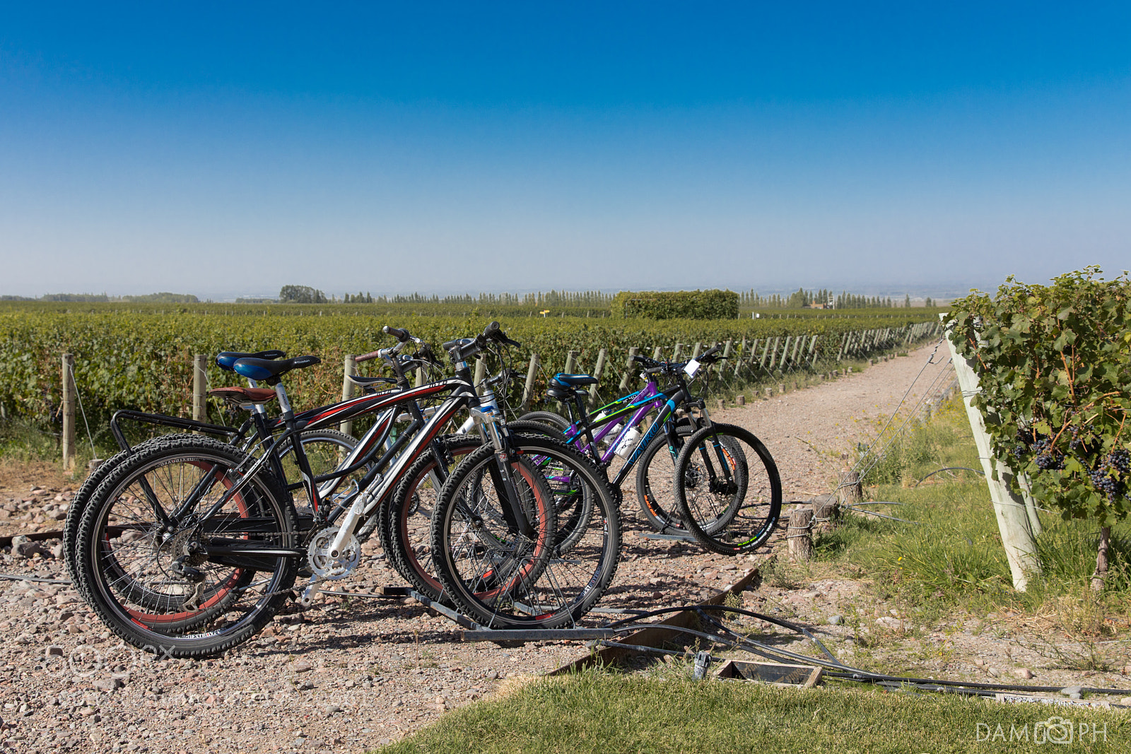 Canon EOS 5D Mark IV sample photo. The bike and the photography