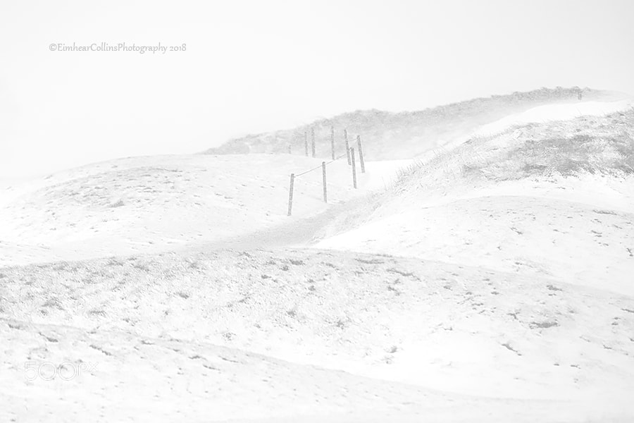 Canon EOS 5D Mark IV sample photo. Path to the 18th. photography