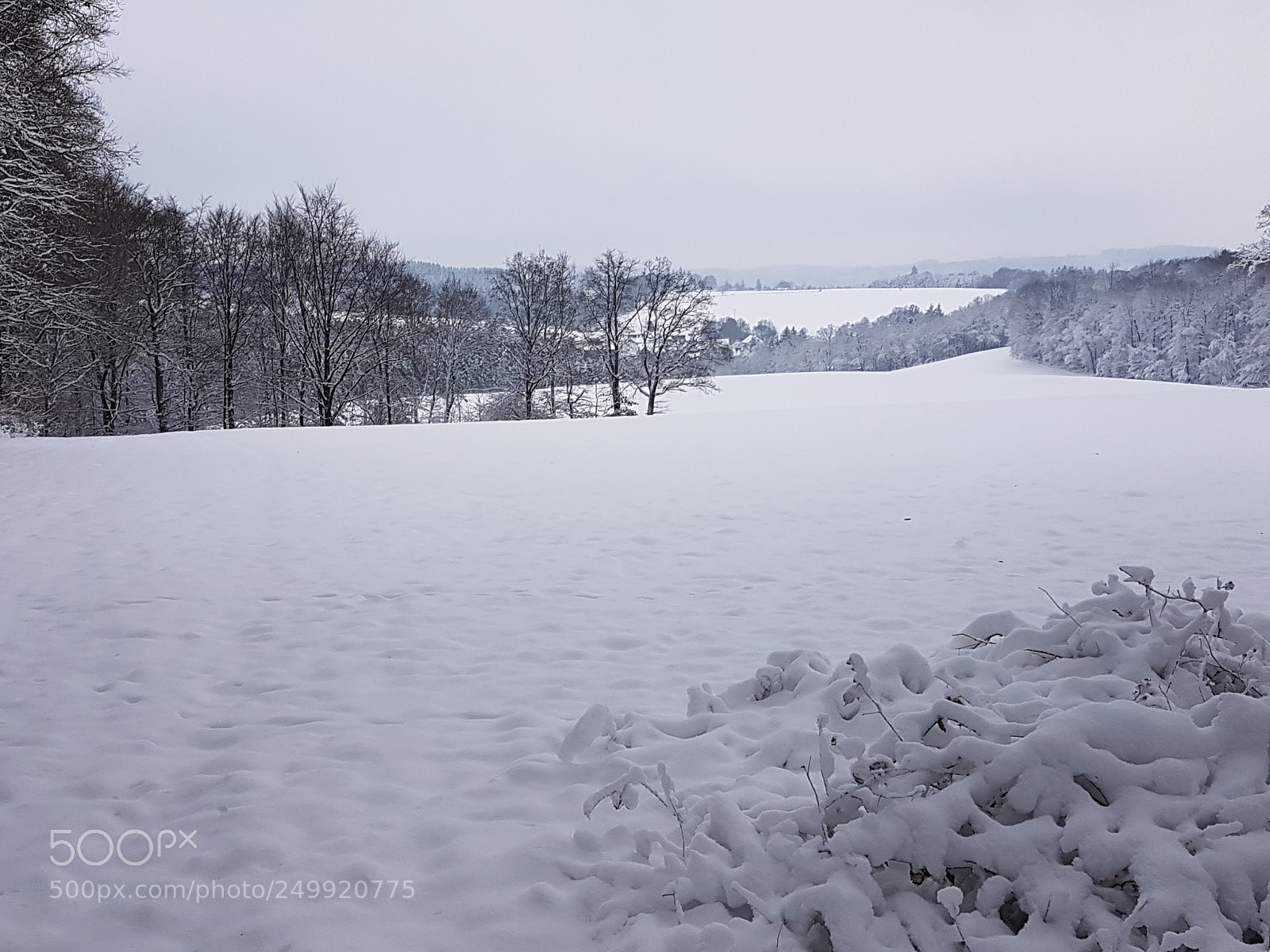 Samsung Galaxy S7 sample photo. Winter schnee natur wald photography