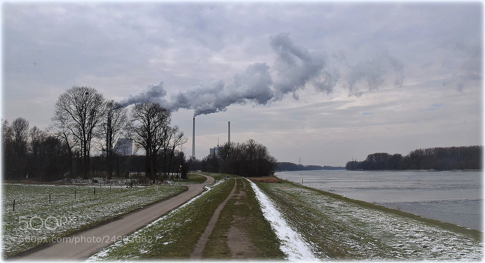 Nikon D810 sample photo. "dans le rhin" photography