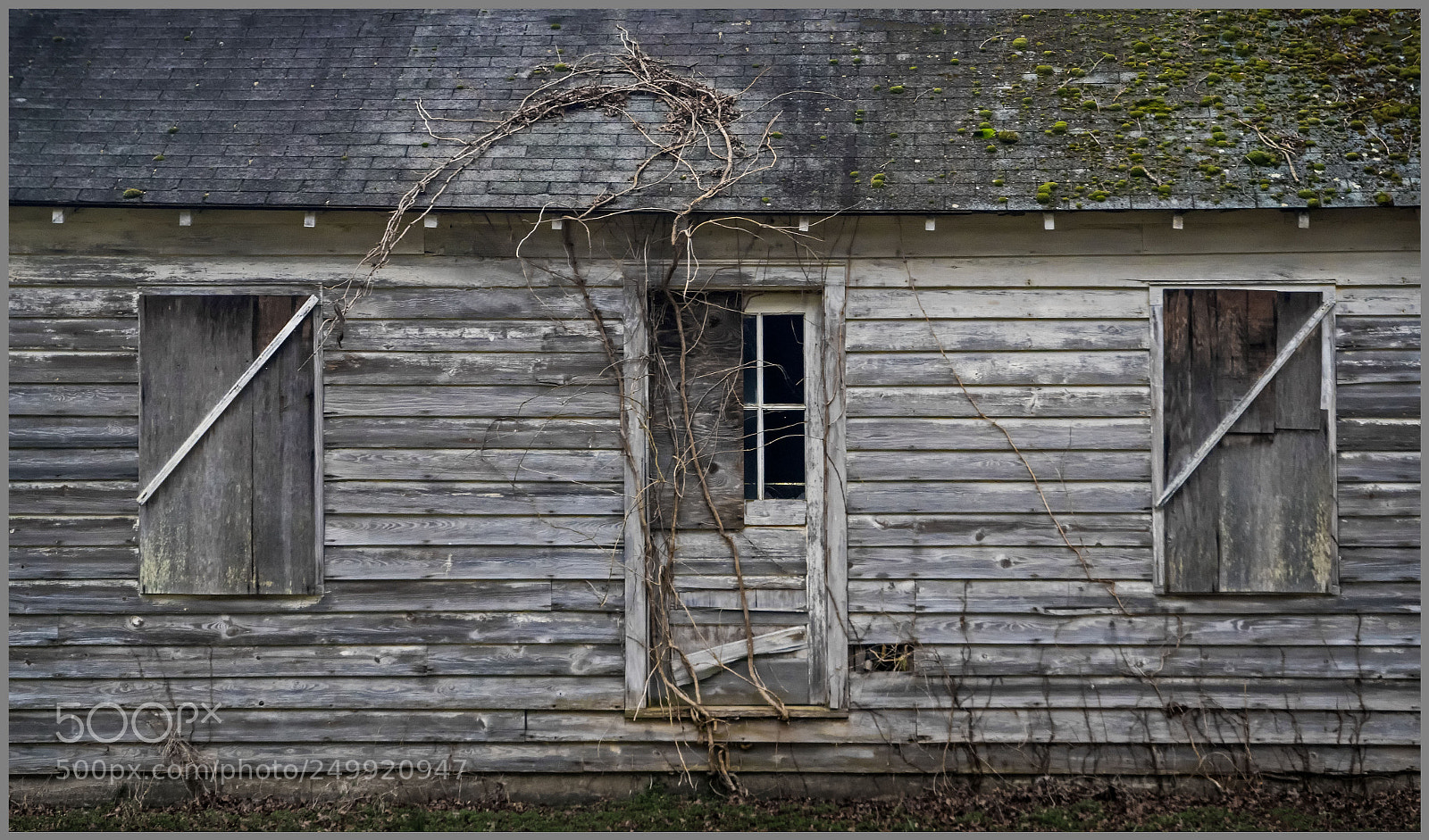 Nikon D500 sample photo. Derelict barn fragment photography