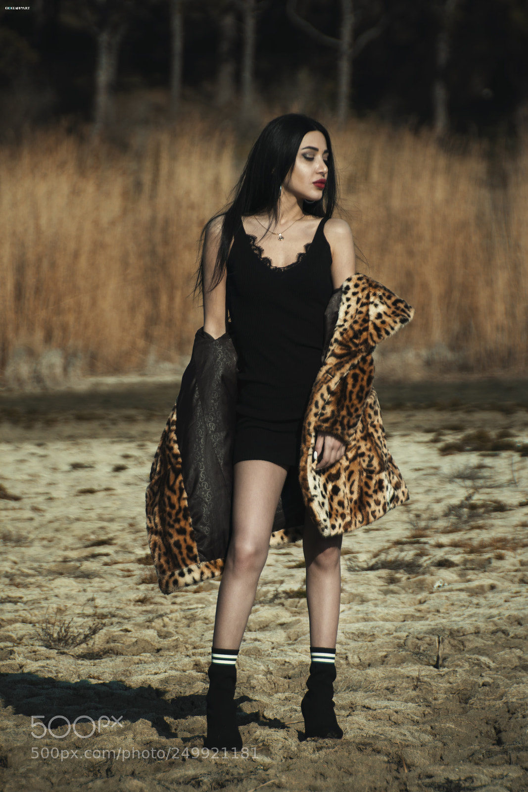 Nikon D7100 sample photo. Untitled photography