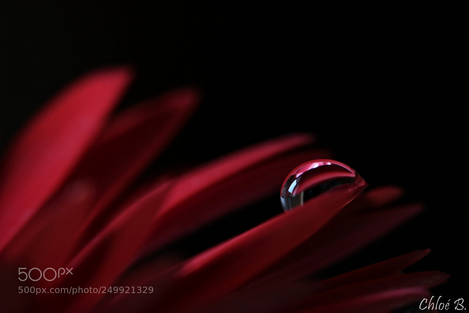 Canon EOS 70D sample photo. Red drop photography