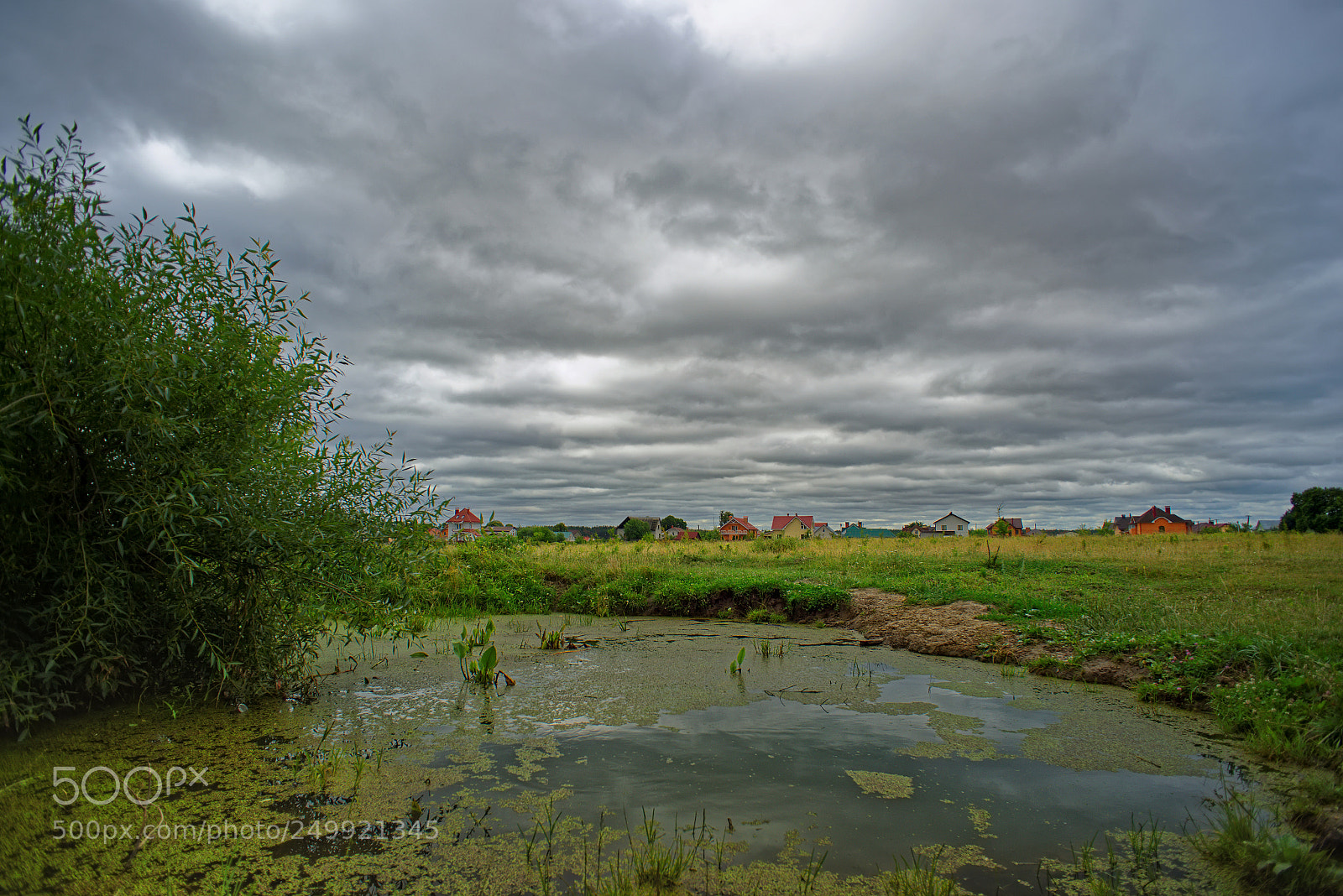 Nikon D800E sample photo. Field photography
