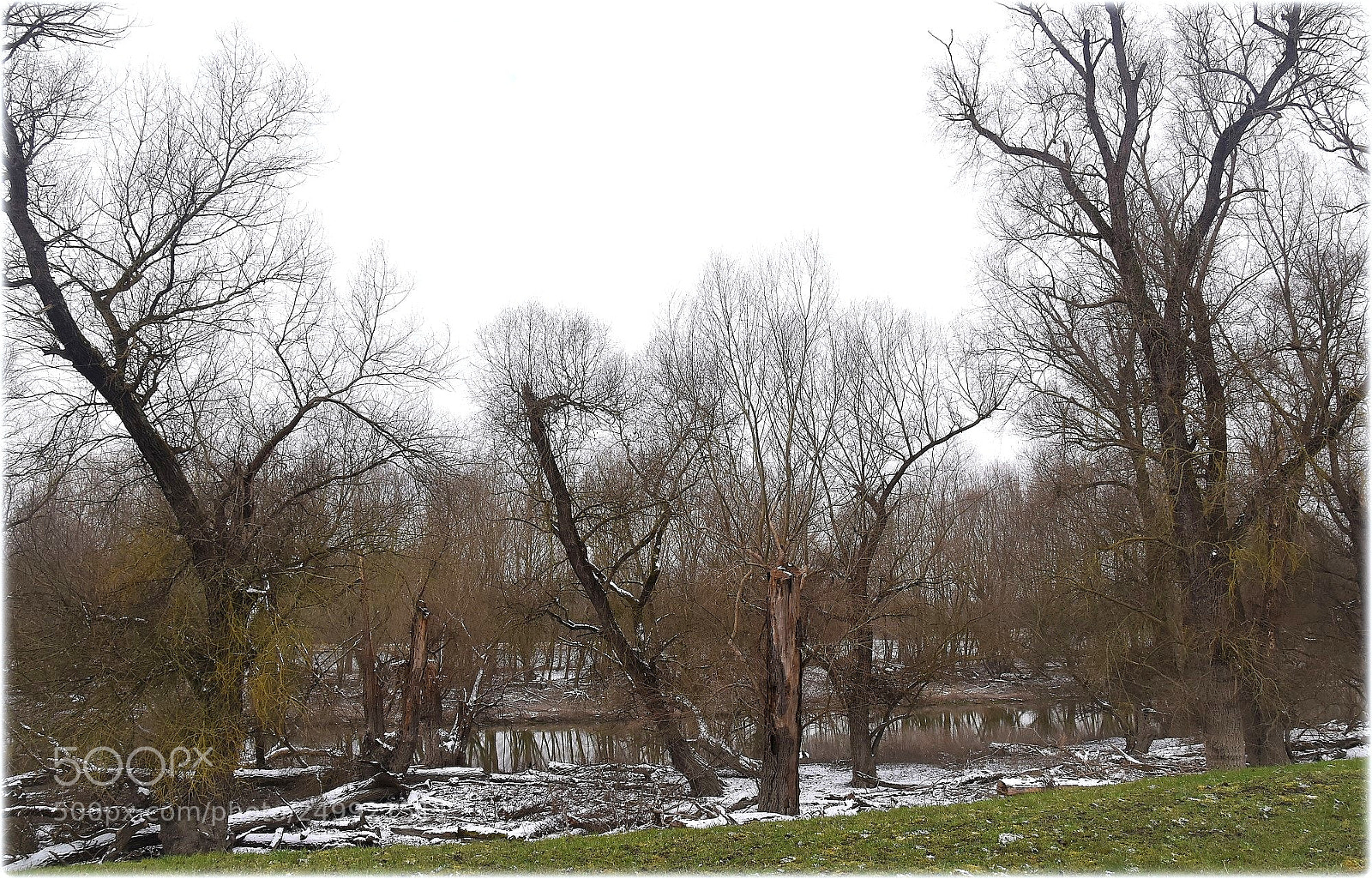 Nikon D810 sample photo. "rheinland" photography