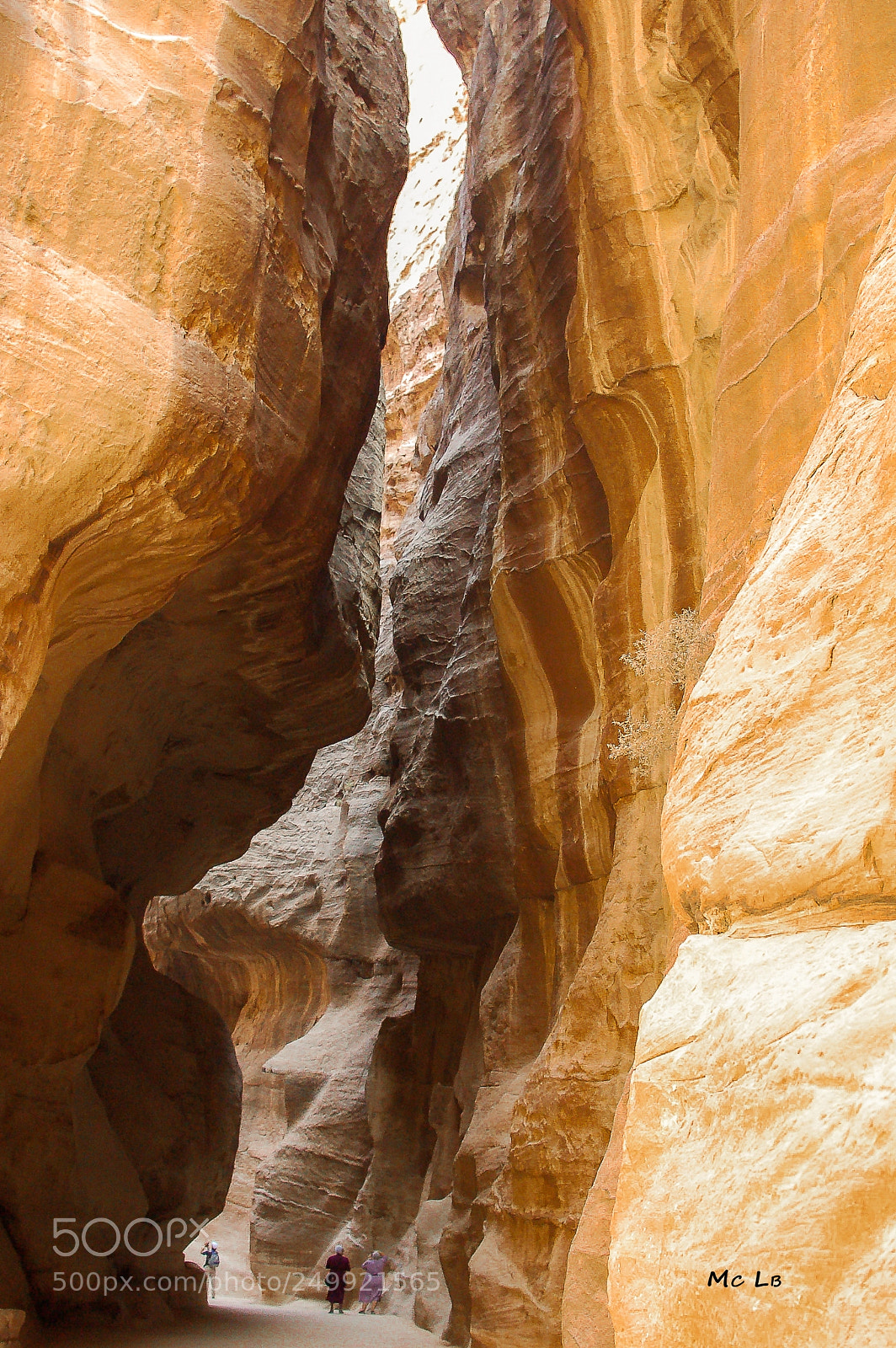 Nikon D50 sample photo. Canyon petra - joranie photography