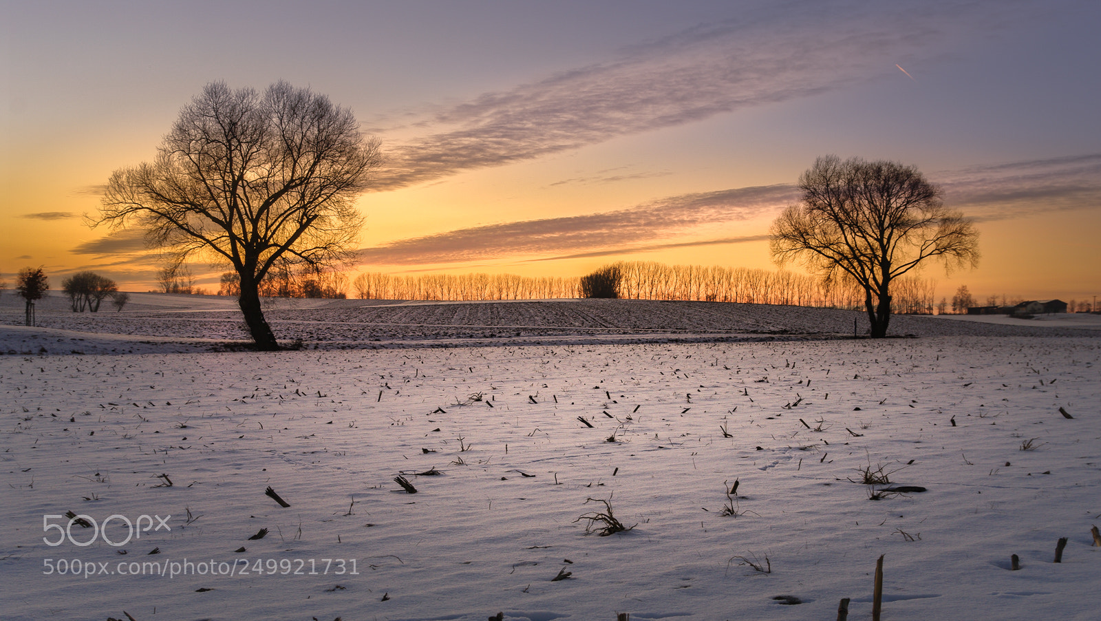 Pentax K20D sample photo. Last winter days photography