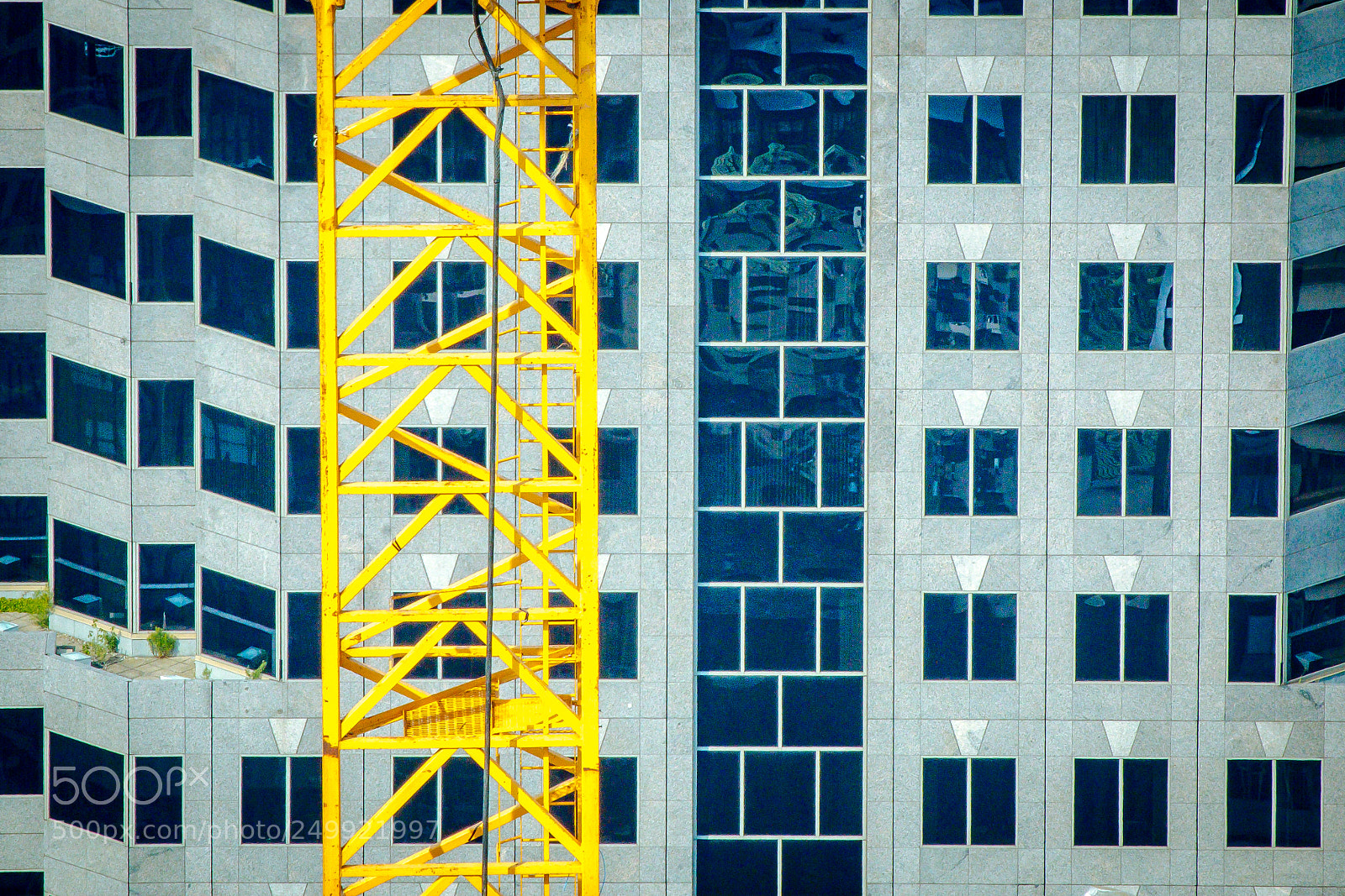 Canon EOS 70D sample photo. Yellow crane // grue jaune photography