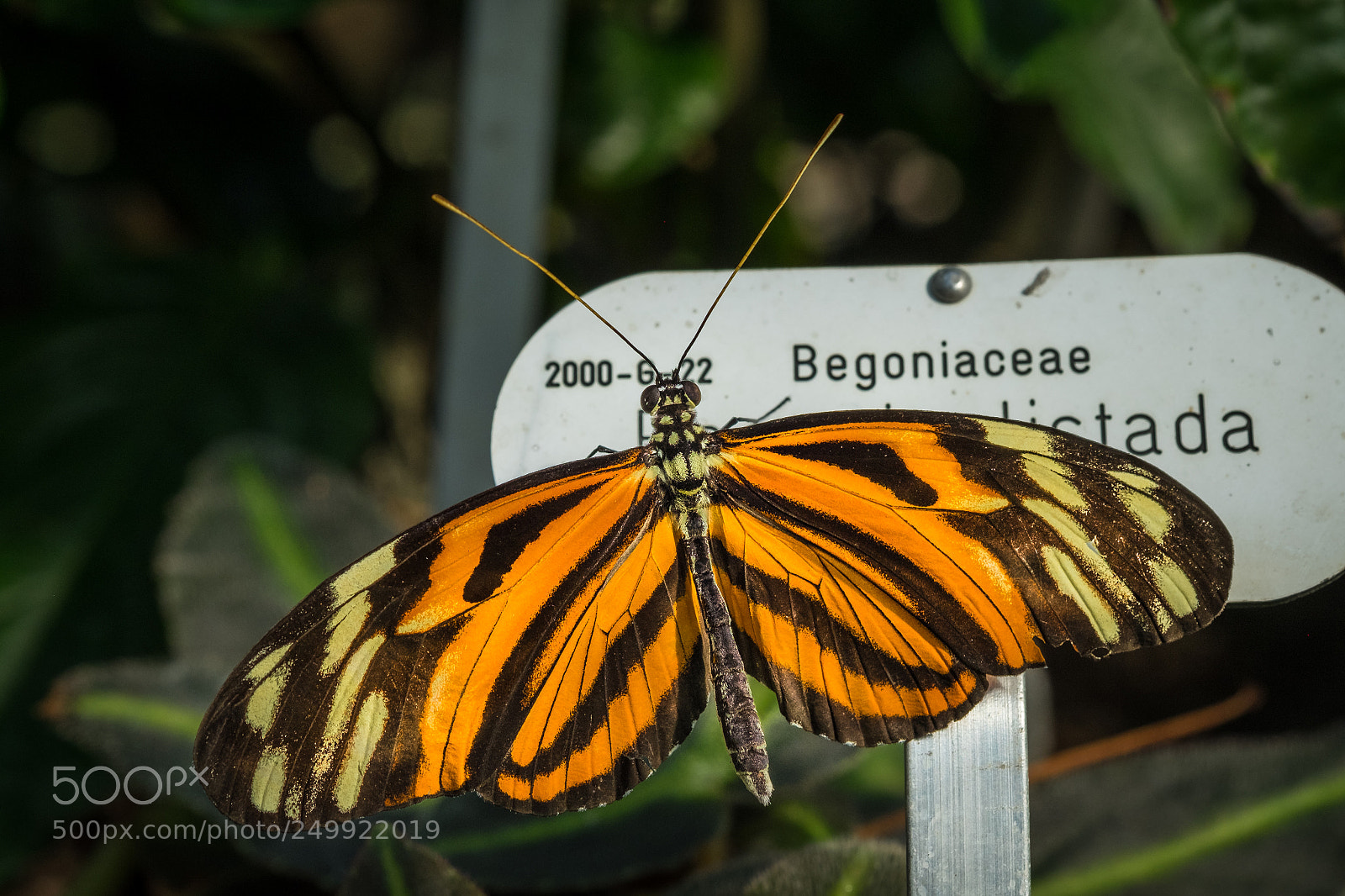 Fujifilm X-T1 sample photo. Was steht da ? photography