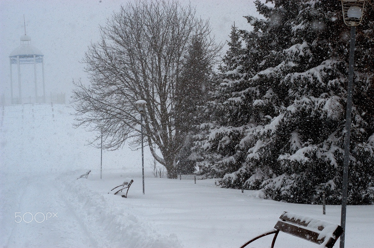 Nikon D100 sample photo. Snowstorm photography