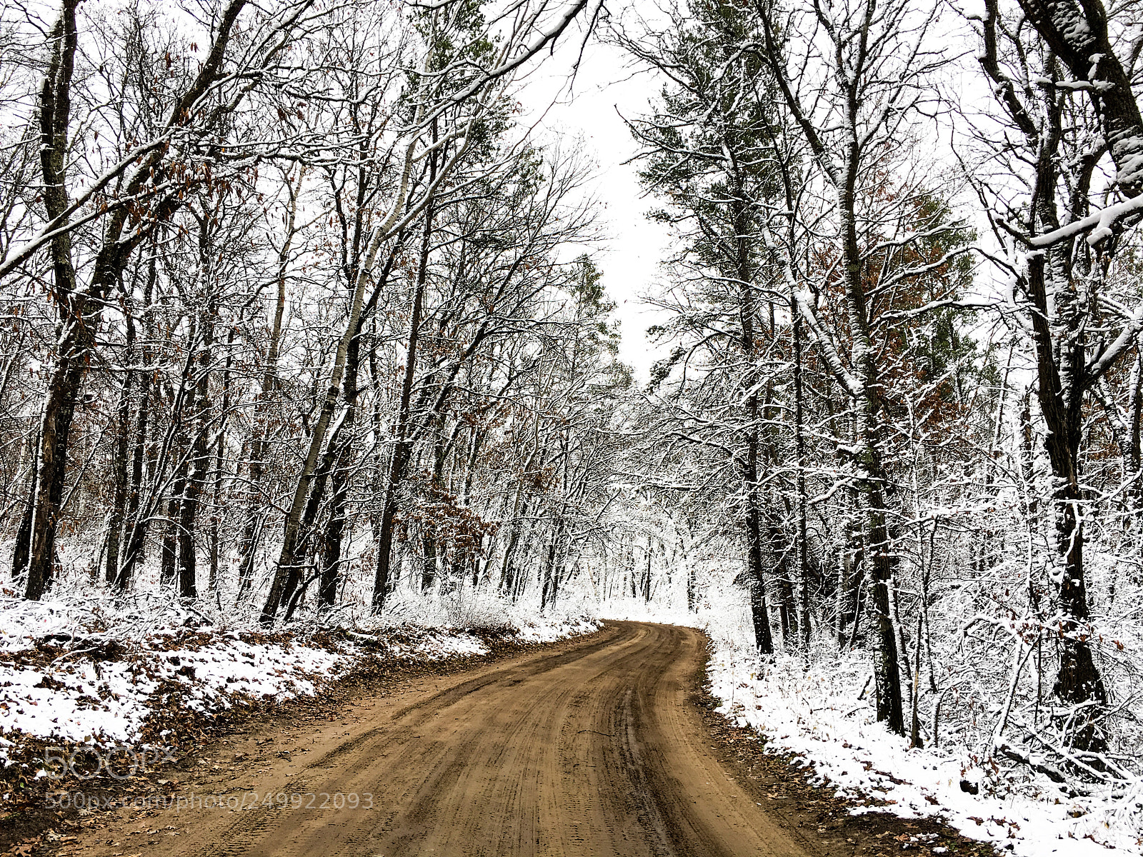 Apple iPhone 6s sample photo. Snowy trail photography