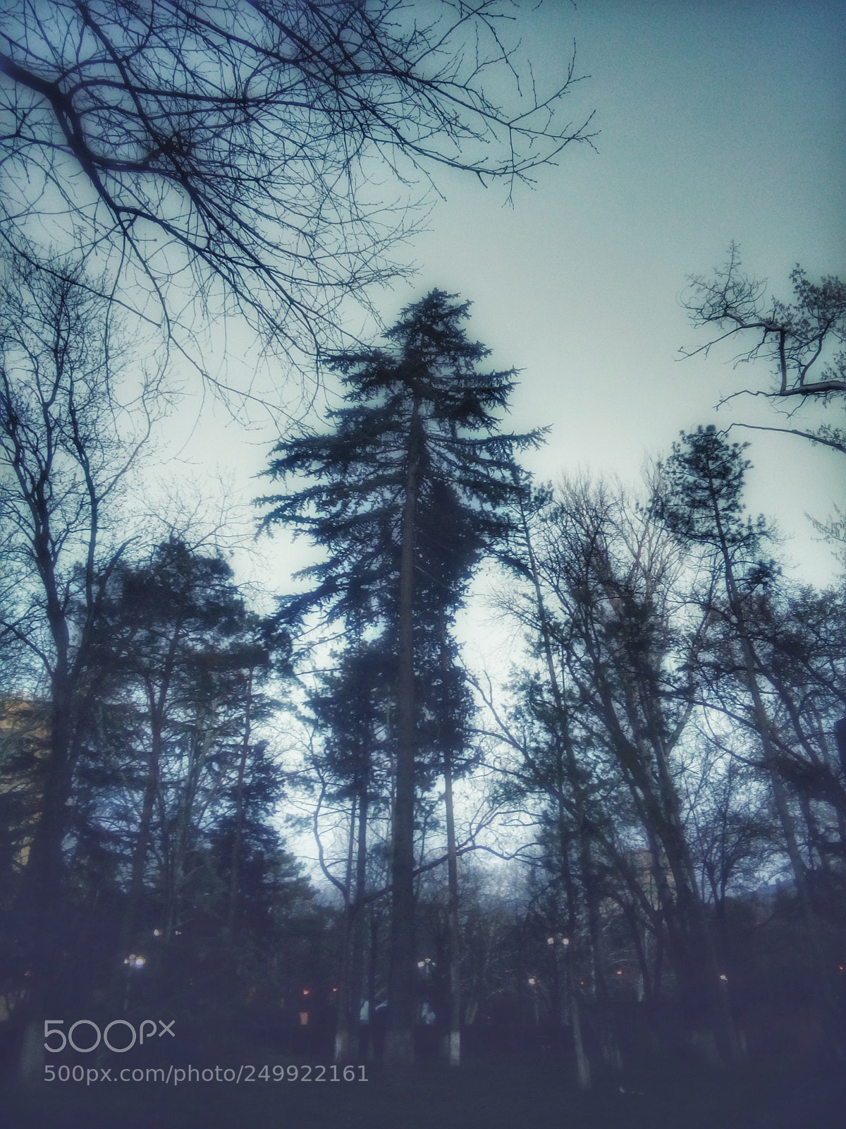 HUAWEI Y5II sample photo. Untitled photography