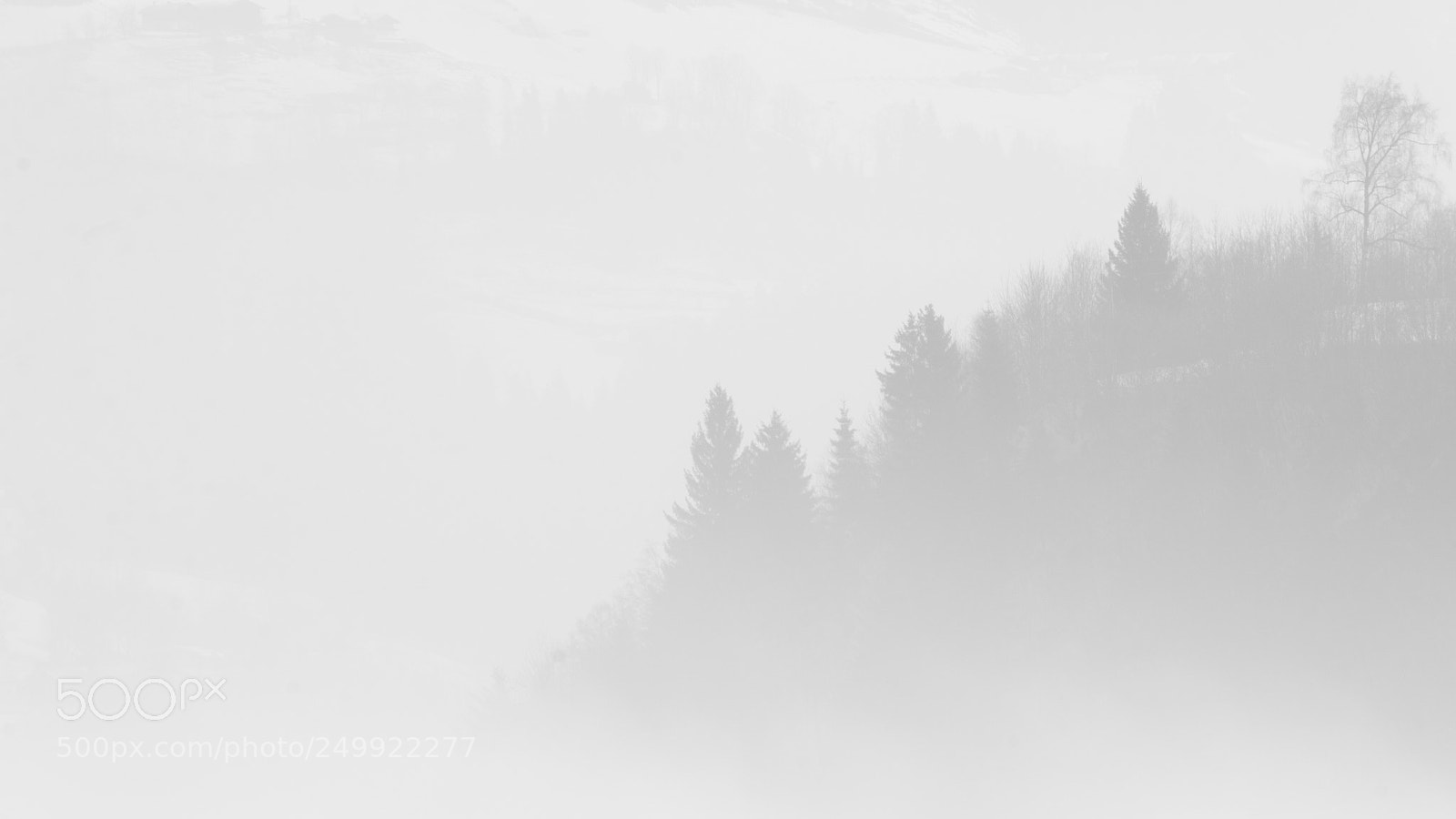 Canon EOS 70D sample photo. Foggy morning photography
