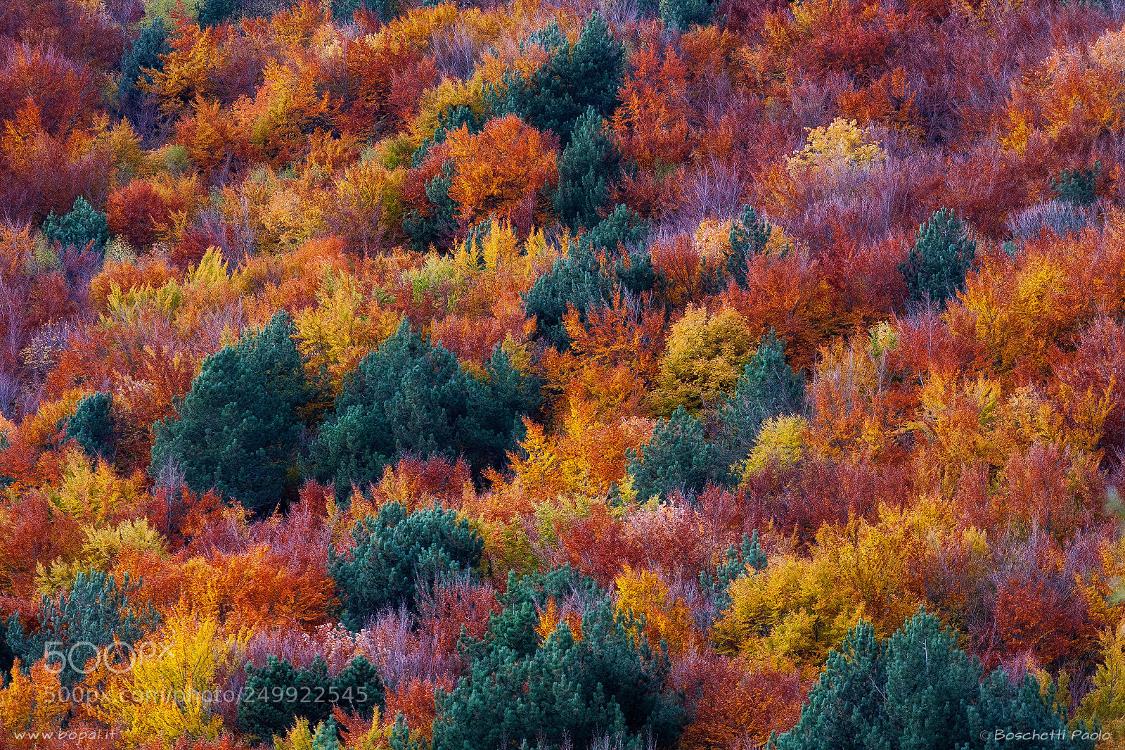 Canon EOS 5D sample photo. Autumn colors photography