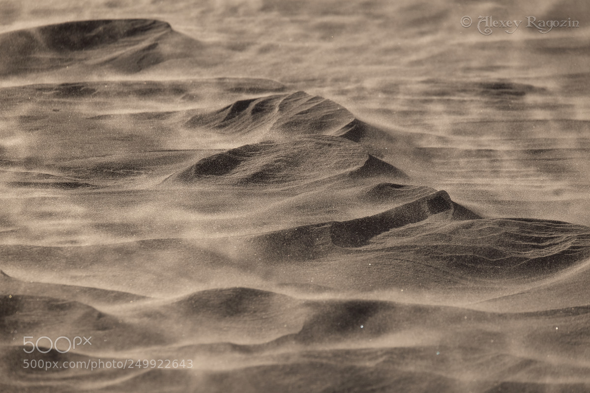 Fujifilm X-T2 sample photo. Snow blizzard draws dunes photography
