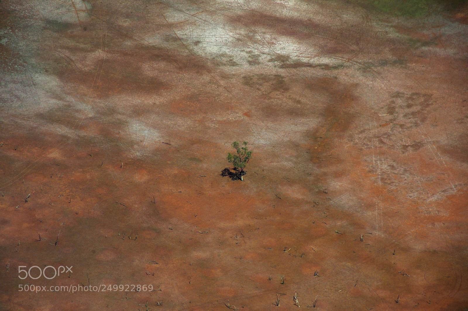 Pentax K-r sample photo. Lonely tree photography
