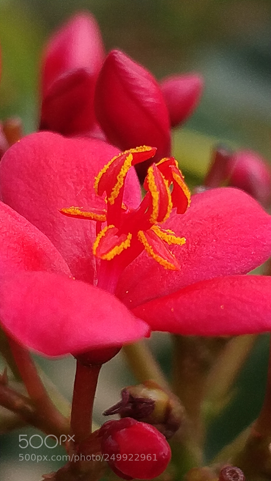 OnePlus 5 sample photo. Img_20180318_100020.jpg photography