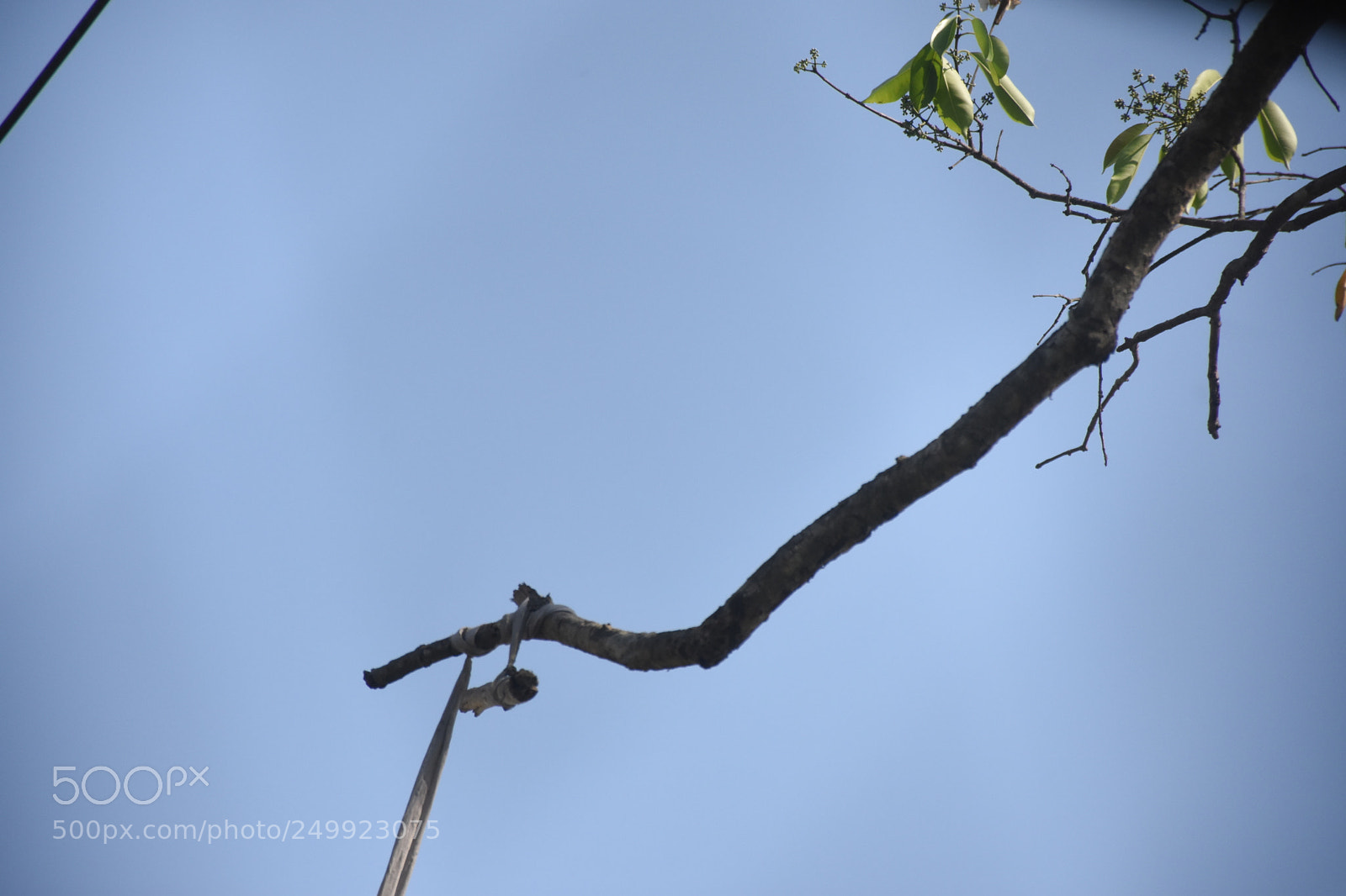 Nikon D7200 sample photo. Untitled photography