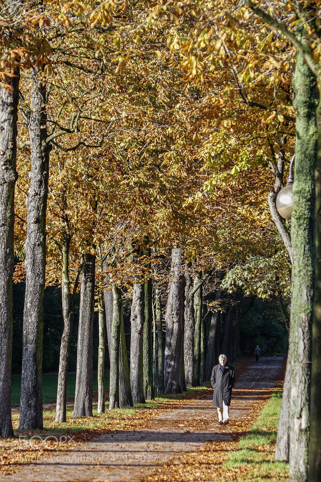 Sony ILCA-77M2 sample photo. Autumn in paris photography