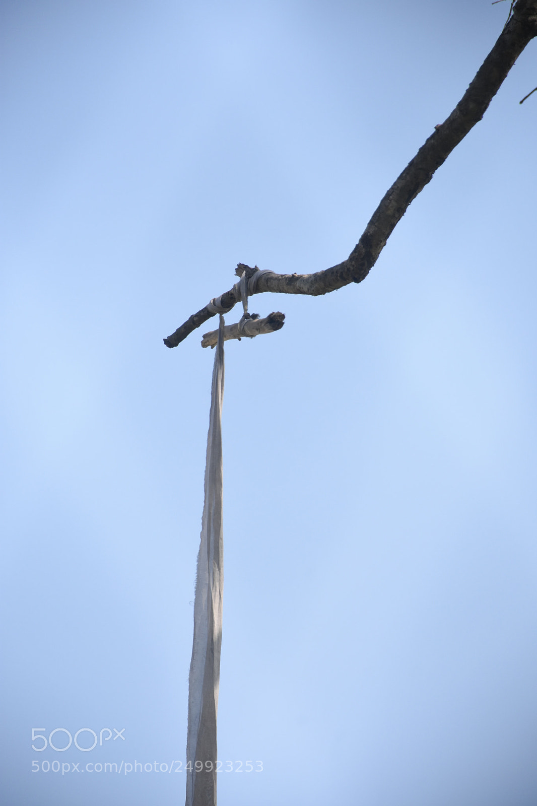 Nikon D7200 sample photo. Untitled photography