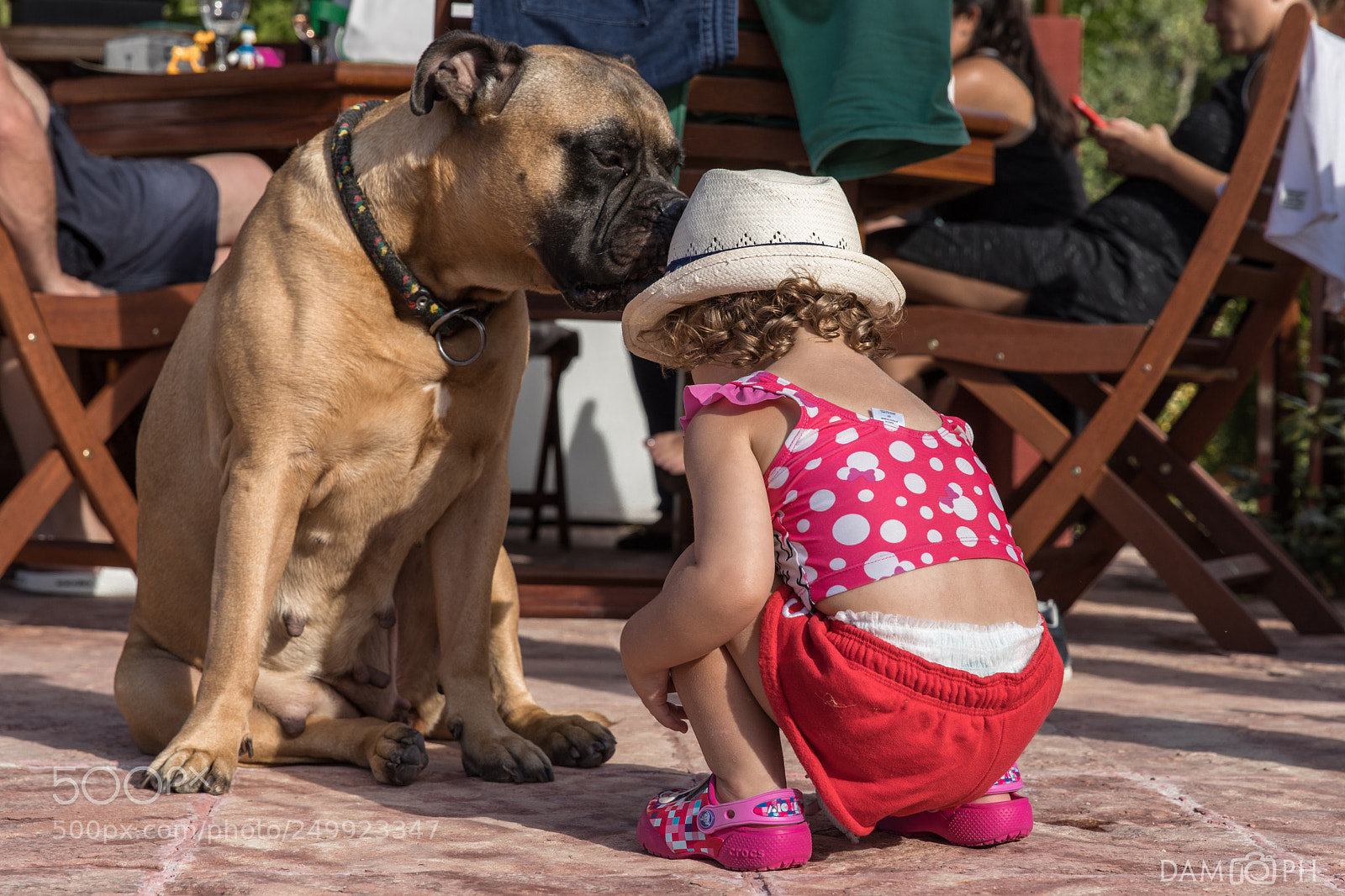 Canon EOS 5D Mark IV sample photo. Good friends photography