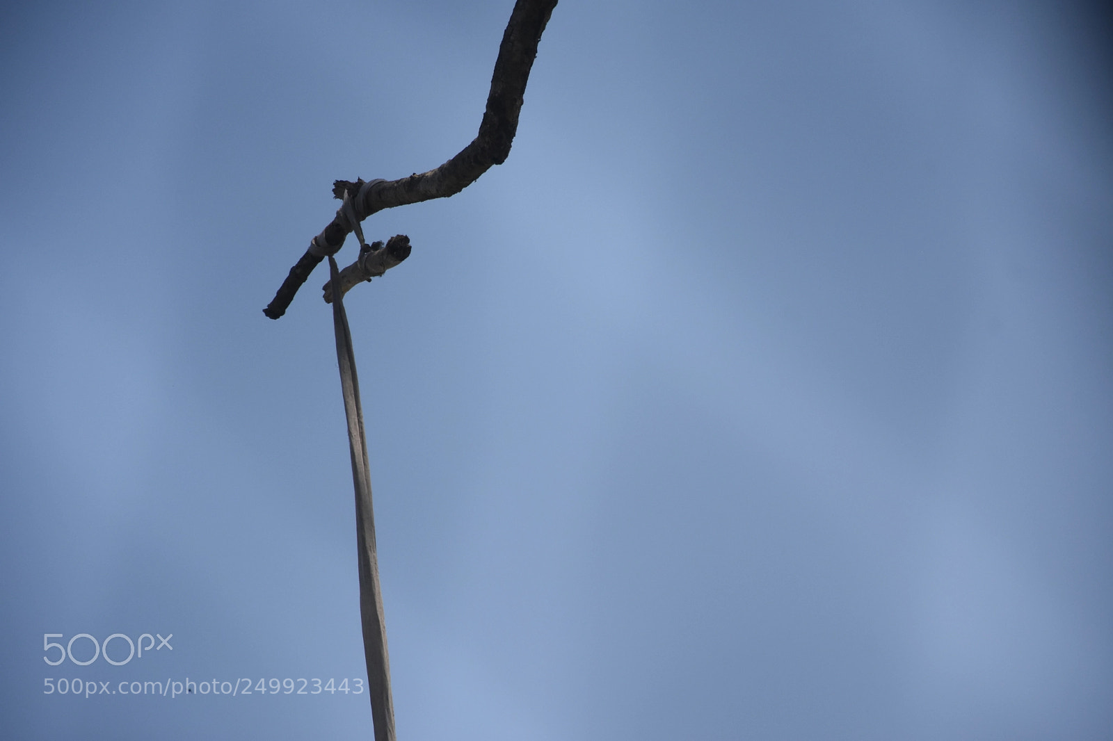 Nikon D7200 sample photo. Untitled photography