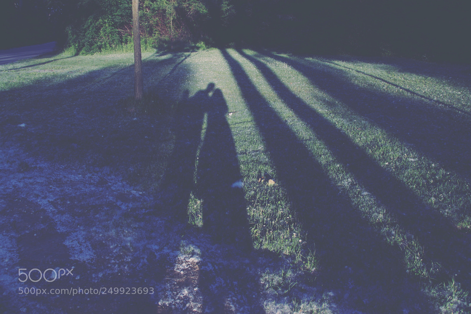 Canon EOS 50D sample photo. Midsummer photography