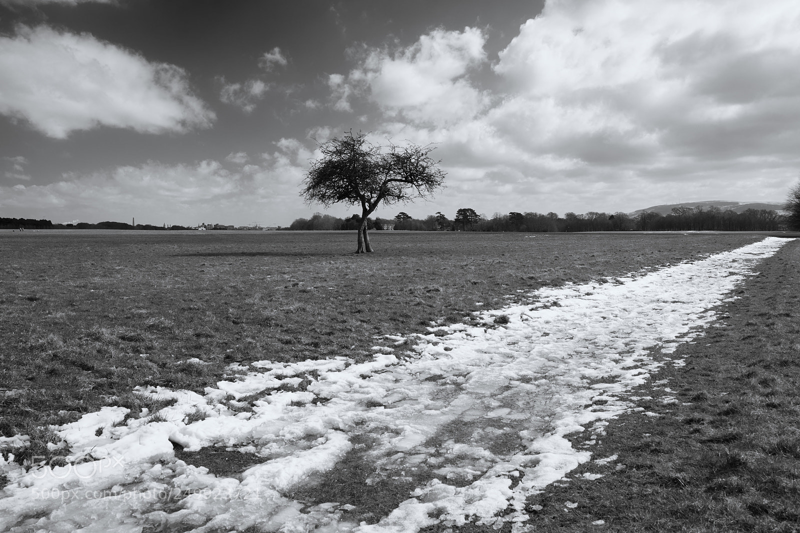 Canon EOS 5D Mark IV sample photo. A melty snow road. photography