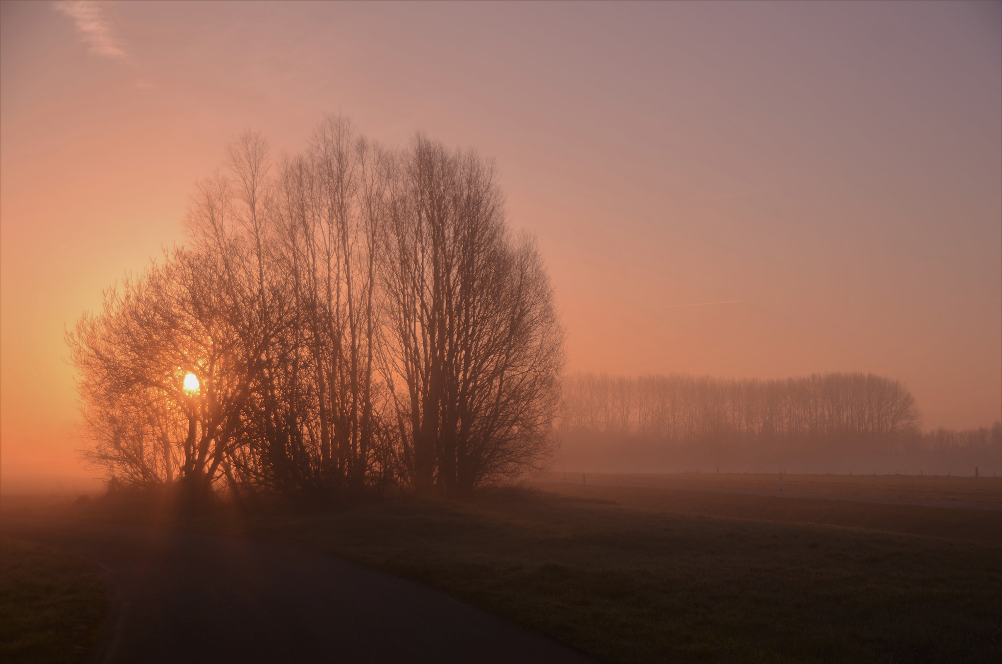 Nikon D7000 sample photo. First sunlight photography