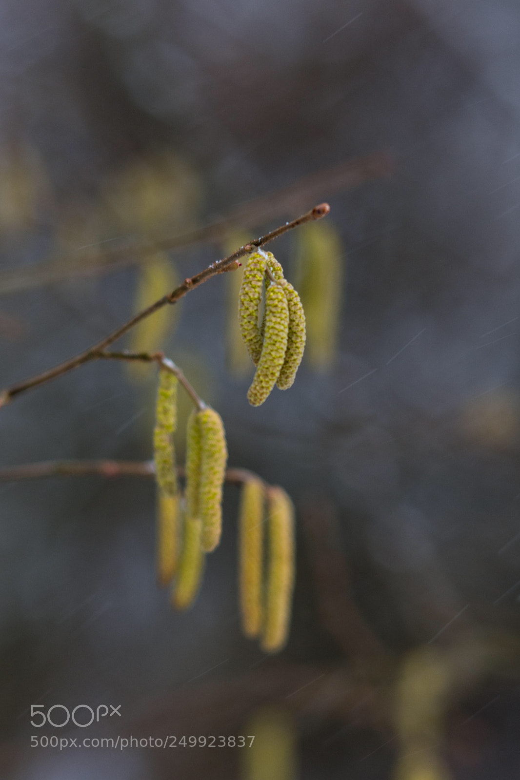 Nikon D7200 sample photo. Untitled photography